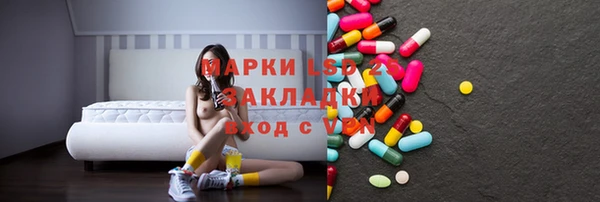 прущие грибы Аркадак