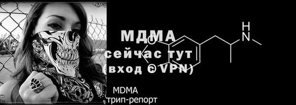 прущие грибы Аркадак