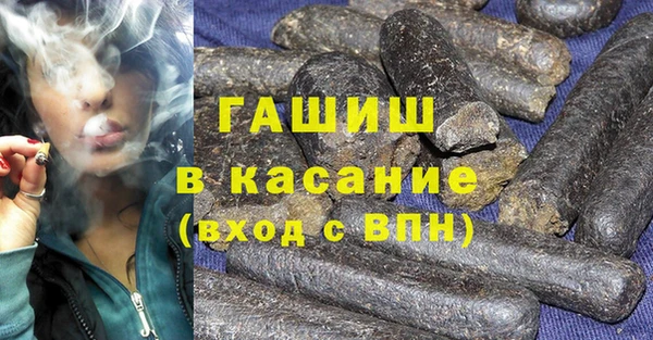 прущие грибы Аркадак