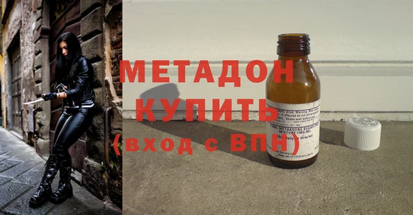 прущие грибы Аркадак
