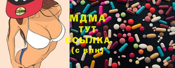 прущие грибы Аркадак