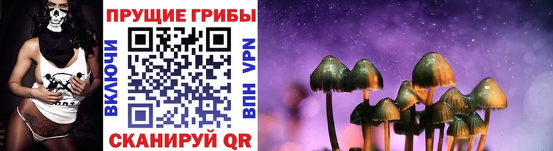 магазин  наркотиков  Петухово  Псилоцибиновые грибы Magic Shrooms 